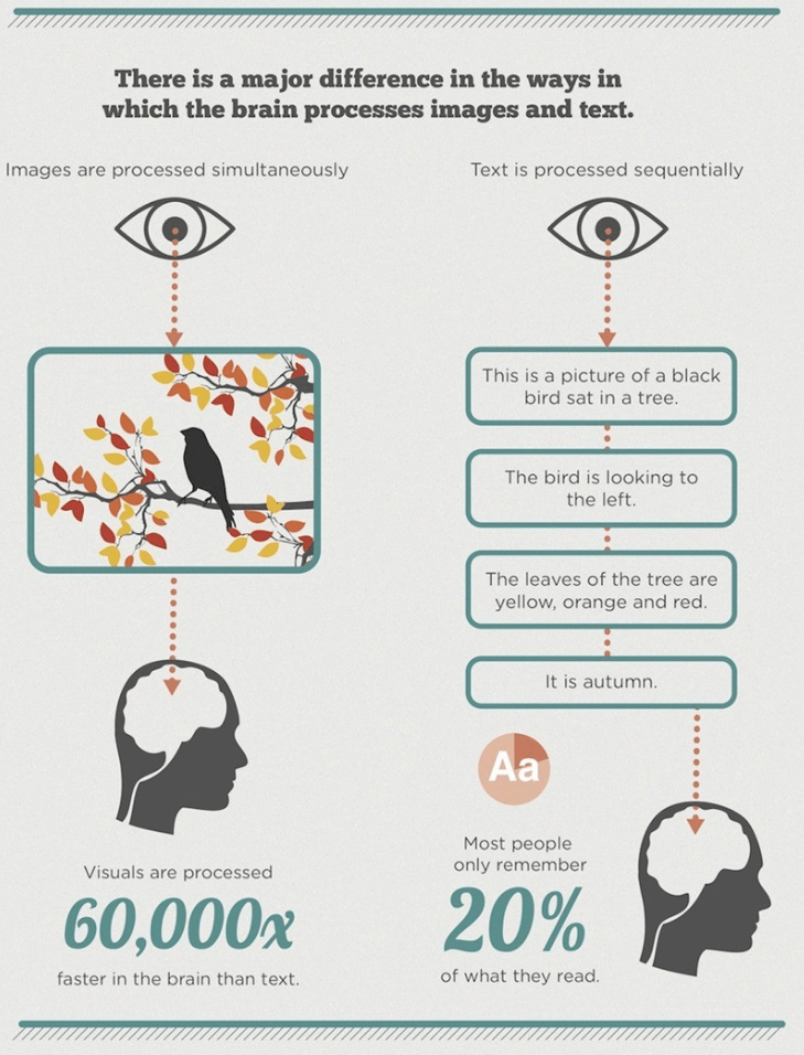 text vs infographic