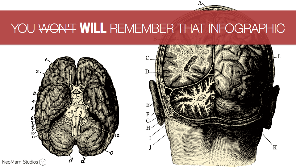 Your Brain Loves Infographics
