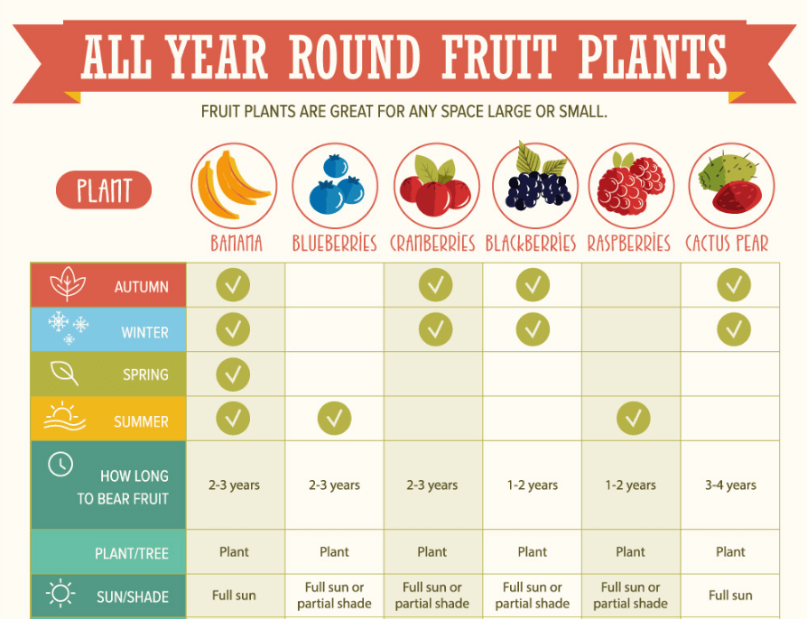 grow-fruits-chart