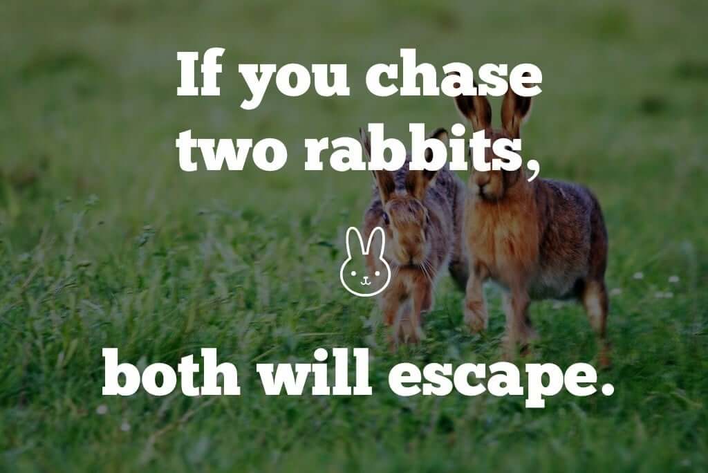 chase-two-rabbits